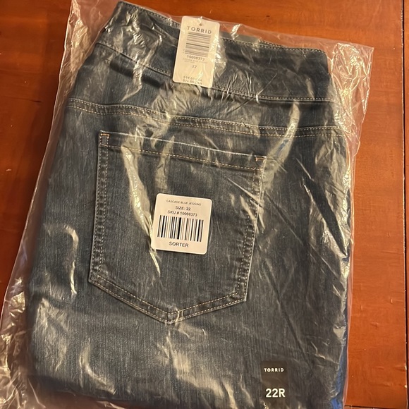 BRAND NEW!!! Never opened!! Torrid Jegging 22R. Cascade Blue Jegging. - Picture 2 of 3